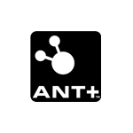 ANT